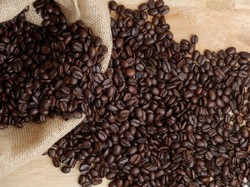 Jejak Pahit-Manis Kopi Priangan: Dari VOC hingga Mendunia