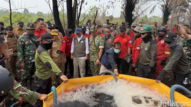 Menhut Minta Tak Buka Lahan dengan Dibakar: Bukan Tak Peduli Kearifan Lokal