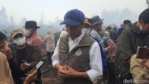 Seribu Polisi Hutan Bakal Dikerahkan Bantu Padamkan Karhutla di Kalimantan