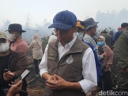 Seribu Polisi Hutan Bakal Dikerahkan Bantu Padamkan Karhutla di Kalimantan