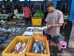 Cuaca Ekstrem Bikin Harga Ikan Laut di Sidoarjo Melonjak, Segini Harganya