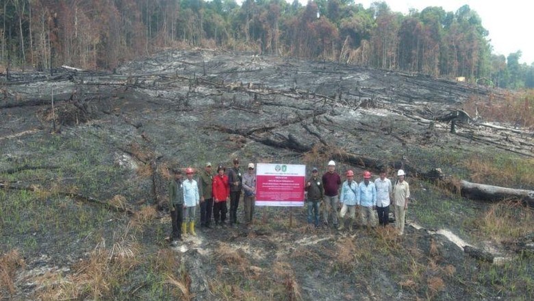 6 Perusahaan Dijatuhi Sanksi Imbas Karhutla di Kalbar, 1 Dibekukan Izinnya