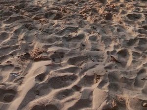Pemuda yang Terseret Ombak di Pantai Wowong Lembata Ditemukan Tewas