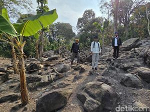Cerita Penggarap Lahan Soal Harta Karun di Cikakak: Cuma Ada Monyet