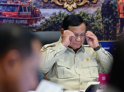 Video: Kapolda Sumsel Tangkap 17 Tersangka Karhutla, Prabowo Minta Tindak Tegas