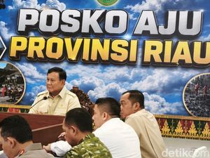 Prabowo Tanya 5 Perusahaan Sawit Kena Sanksi Karhutla: Tak Boleh Seenaknya!