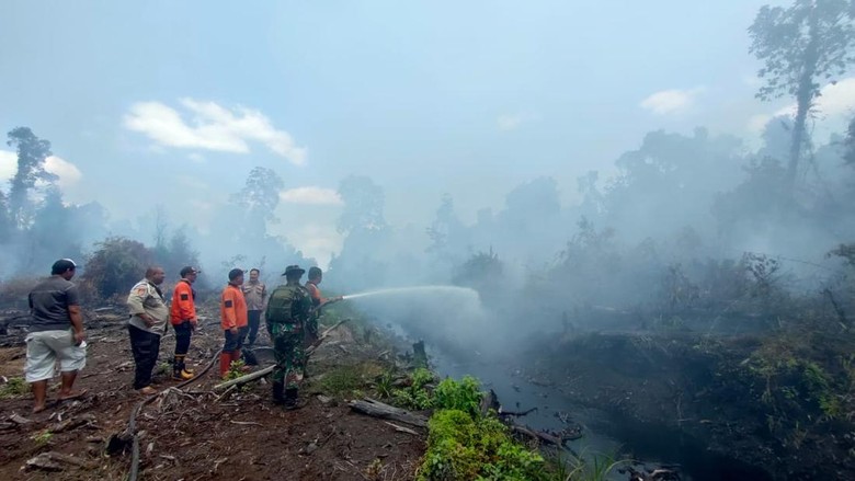 Sejarah Rentetan Kasus Karhutla di Kalimantan dari 1982 hingga 2026