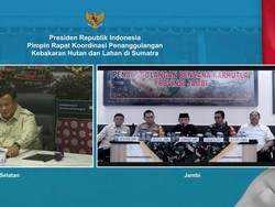 Gubernur Laporkan Situasi Karhutla Jambi ke Prabowo: Tahap Pendinginan