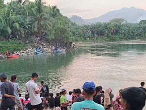 Bocah 12 Tahun di Mamuju Tengah Hilang Diterkam Buaya Saat Mandi di Sungai