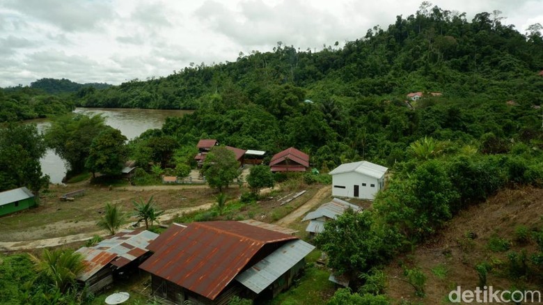Masyarakat Adat Dayak Sudah Ratusan Tahun Buka Ladang Pakai Api