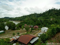 Masyarakat Adat Dayak Sudah Ratusan Tahun Buka Ladang Pakai Api