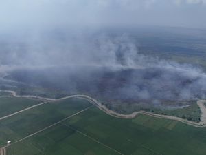 774,14 Hektare Lahan di TN Way Kambas Terbakar, Water Bombing Disiapkan
