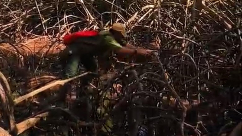 Rusa-rusa TNBB 'Serbu' Kubangan Air Buatan di Tengah Kemarau
