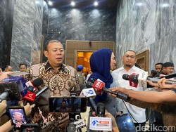 72 Tersangka Karhutla Dijerat, Waka DPR Dukung Pelaku Utama Ditindak Tegas