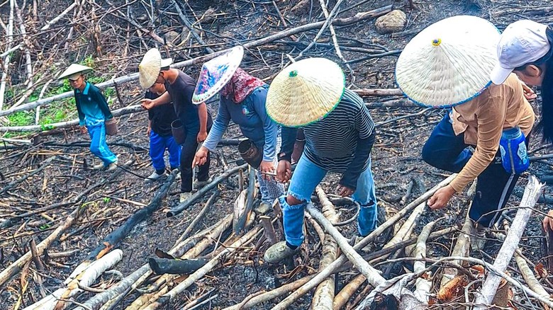 Bukan Asal Bakar, Begini Ketatnya Aturan Adat Cegah Karhutla di Kaltara