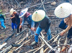 Bukan Asal Bakar, Begini Ketatnya Aturan Adat Cegah Karhutla di Kaltara