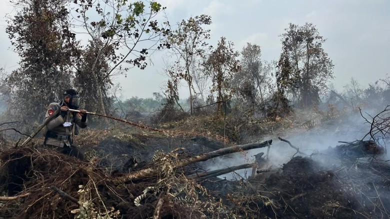 Murid di Provinsi Riau Bisa PJJ Selama Karhutla, Kota Pekanbaru hingga 28 Agustus
