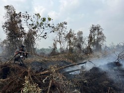Murid di Provinsi Riau Bisa PJJ Selama Karhutla, Kota Pekanbaru hingga 28 Agustus