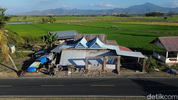 Hari Kedelapan, 53.971 Rumah Rusak Akibat Gempa NTT