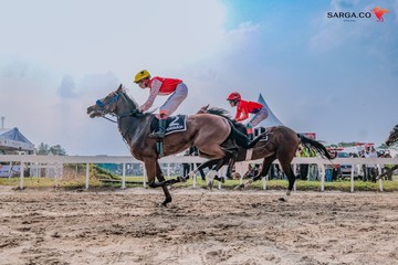 IHR Merdeka Cup 2026 Sukses Digelar, 45 Kuda Raih Podium