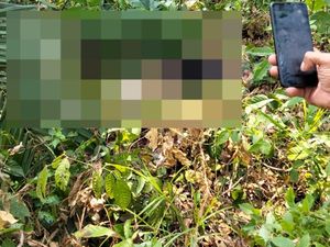 Pria Diduga Maling Sawit di Muba Tewas dengan Leher Putus, Pelaku Ditangkap