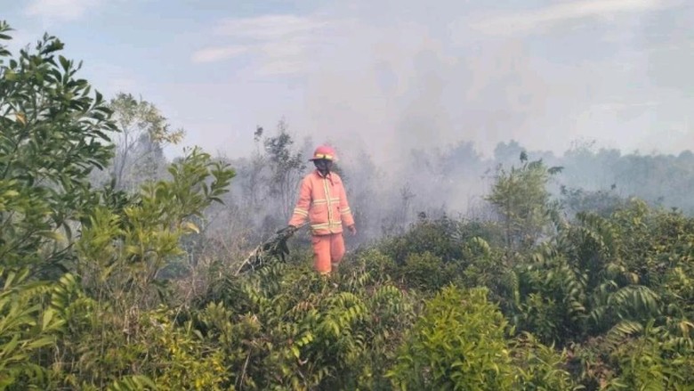 Karhutla 'Kepung' IKN, Wilayah Penyangga Dilanda Kebakaran