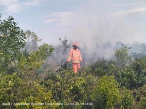 Karhutla Kepung IKN, Wilayah Penyangga Dilanda Kebakaran