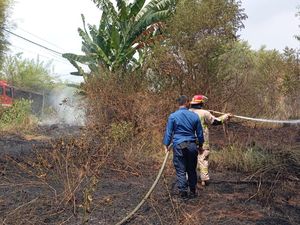 3 Lahan di Bandar Lampung Terbakar dalam Sehari, Diduga karena Bakar Sampah