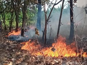 3,5 Hektare Lahan Terbakar Ancam Permukiman di Delanggu Klaten