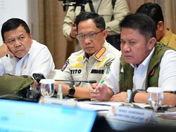 Cegah Karhutla, Mendagri Tekankan Keterlibatan Pemda hingga Tingkat Desa