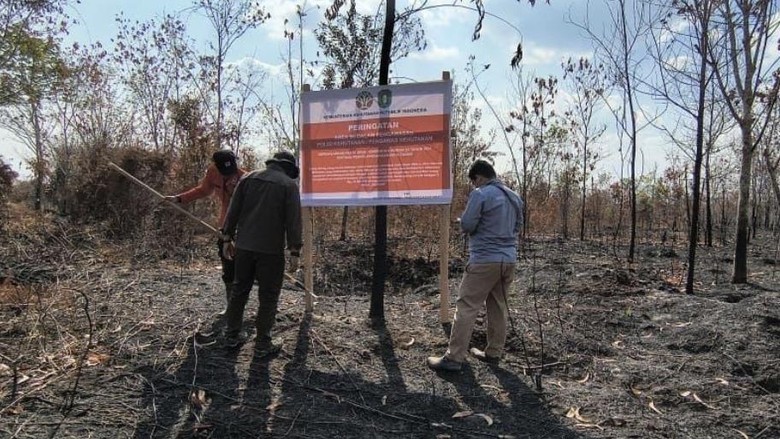 Karhutla Berulang, Izin PT MPK di Kalbar Dibekukan-Terancam Dicabut