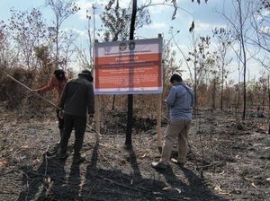 Karhutla Berulang, Izin PT MPK di Kalbar Dibekukan-Terancam Dicabut