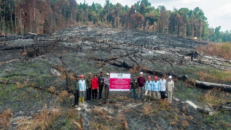 Karhutla Bakar 70,38 Hektare, PT NES di Kalteng Kena Sanksi Kemenhut