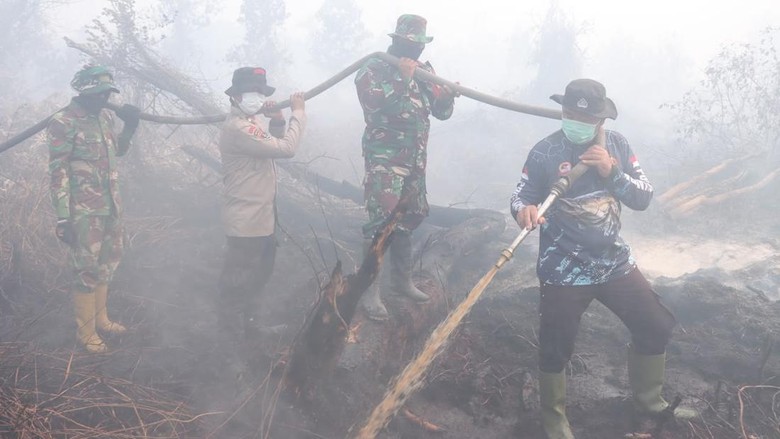 283 Personel Gabungan Intensifkan Pendinginan Karhutla Kampar, Hotspot Sisa 2 Titik