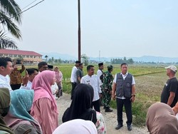 Satgas PRR Tingkatkan Pengawasan Realisasi Tambahan TKD Daerah Terdampak