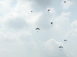 Tim Alfa TNI Sasar Titik Api Sulit Dijangkau di TN Way Kambas