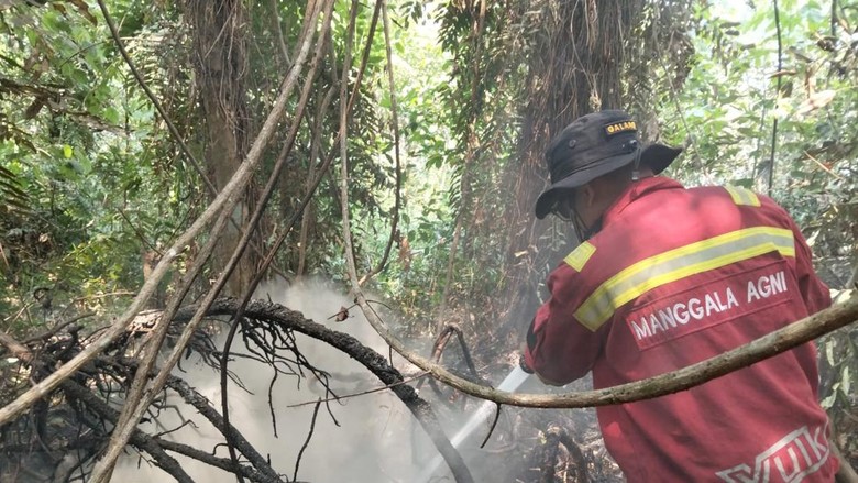 2 Titik Lahan Gambut di Tanjabtim Masih Terbakar, Pemadaman Dioptimalkan