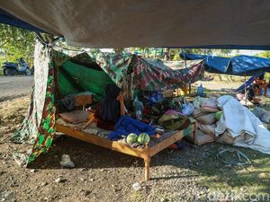 Trauma Gempa, Warga Nagekeo NTT Pilih Tidur di Tenda