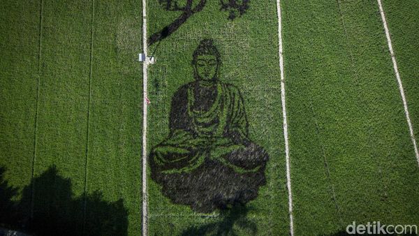 Uniknya Karya Pari Corek Bergambar Sang Buddha