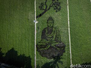 Uniknya Karya Pari Corek Bergambar Sang Buddha