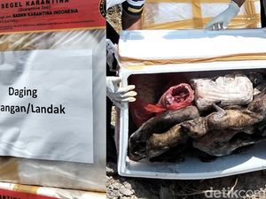 Modus Pria Angkut 538 Kg Daging Satwa Tanpa Dokumen, Ngaku Bawa Ikan Asin