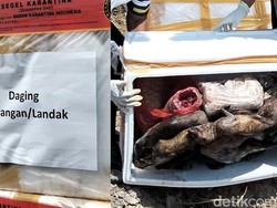 Modus Pria Angkut 538 Kg Daging Satwa Tanpa Dokumen, Ngaku Bawa Ikan Asin