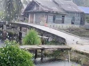 Hujan Turun di Sejumlah Kabupaten, Titik Hotspot di Riau Menurun