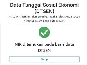 Panduan Pembaruan Desil DTSEN dan Cara Ceknya di dtsen-form.bps.go.id