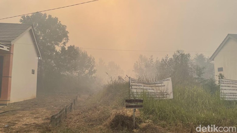 Pakar Kesehatan ULM Ingatkan Kabut Asap Bisa Membunuh Diam-diam