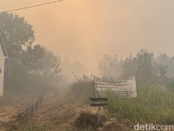Pakar Kesehatan Ingatkan Kabut Asap Bisa Membunuh Diam-diam