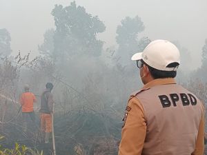 Karhutla di Riau Meluas, Habitat Harimau di Suaka Margasatwa Kerumutan Hangus