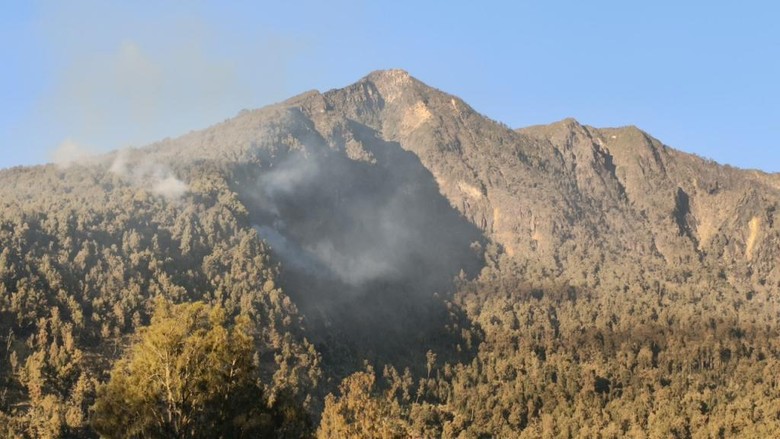 Kebakaran Gunung Arjuno-Welirang Hanguskan 334 Hektare