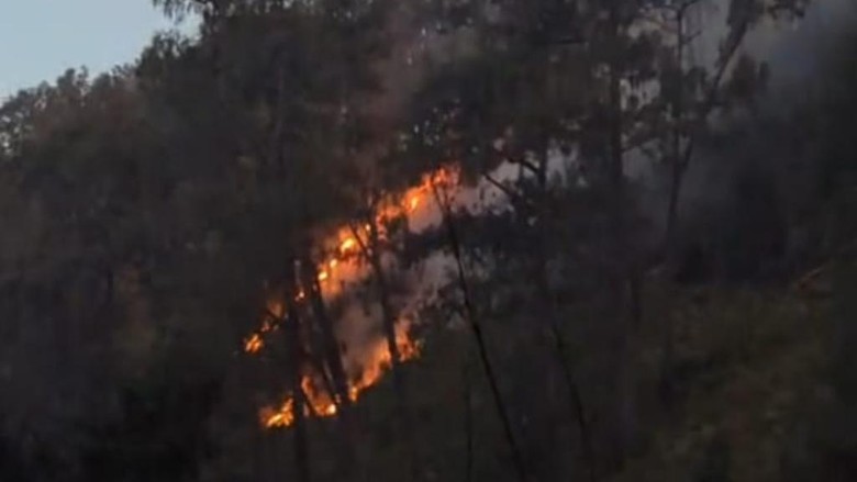 Water Bombing Karhutla Arjuno Terhambat Cuaca, 100 Orang Pemadaman Darat