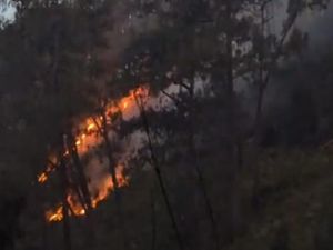 Water Bombing Karhutla Arjuno Terhambat Cuaca, 100 Orang Pemadaman Darat